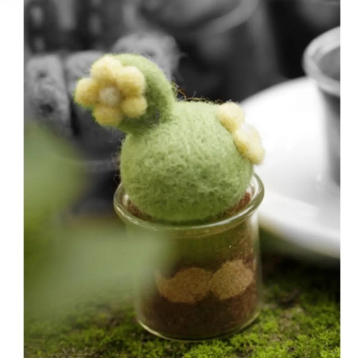 Wool Felt Mini Succulent Plant Pot DIY Kit, Set of 8 | All Tools Included, 8 Styles Available, With Video Tutorial product detail 6