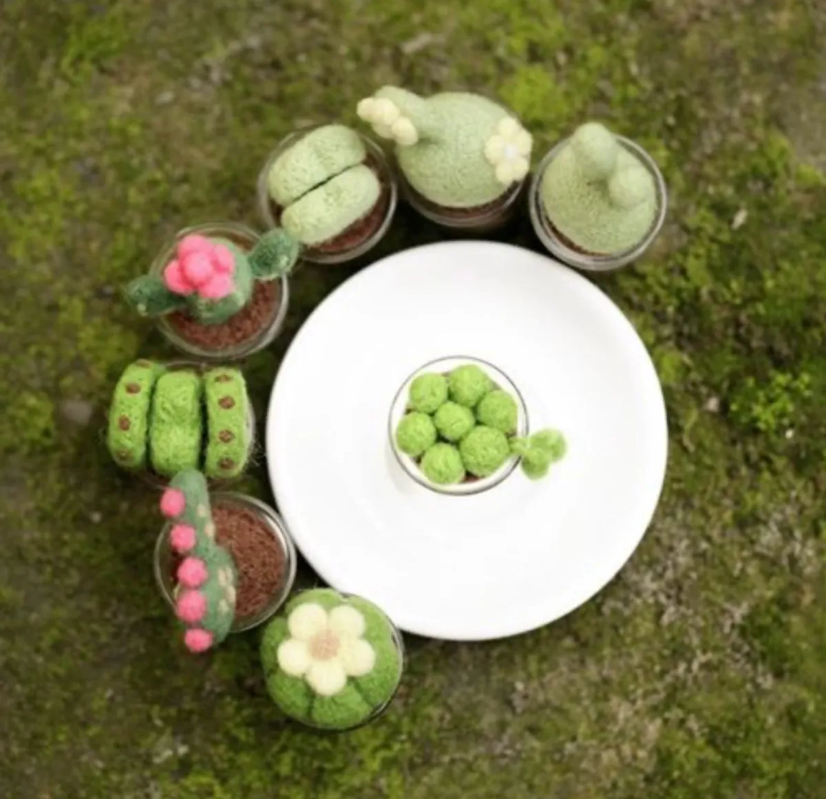Wool Felt Mini Succulent Plant Pot DIY Kit, Set of 8 | All Tools Included, 8 Styles Available, With Video Tutorial product detail 10