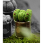 Wool Felt Mini Succulent Plant Pot DIY Kit, Set of 8 | All Tools Included, 8 Styles Available, With Video Tutorial - Image 4