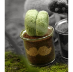 Wool Felt Mini Succulent Plant Pot DIY Kit, Set of 8 | All Tools Included, 8 Styles Available, With Video Tutorial - Image 8