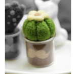 Wool Felt Mini Succulent Plant Pot DIY Kit, Set of 8 | All Tools Included, 8 Styles Available, With Video Tutorial - Image 9