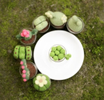 Wool Felt Mini Succulent Plant Pot DIY Kit, Set of 8 | All Tools Included, 8 Styles Available, With Video Tutorial - Image 10